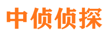 海南市私家侦探